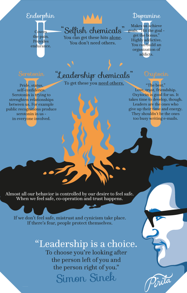 Pirita Tolvanen Simon Sinek NBF 2015c